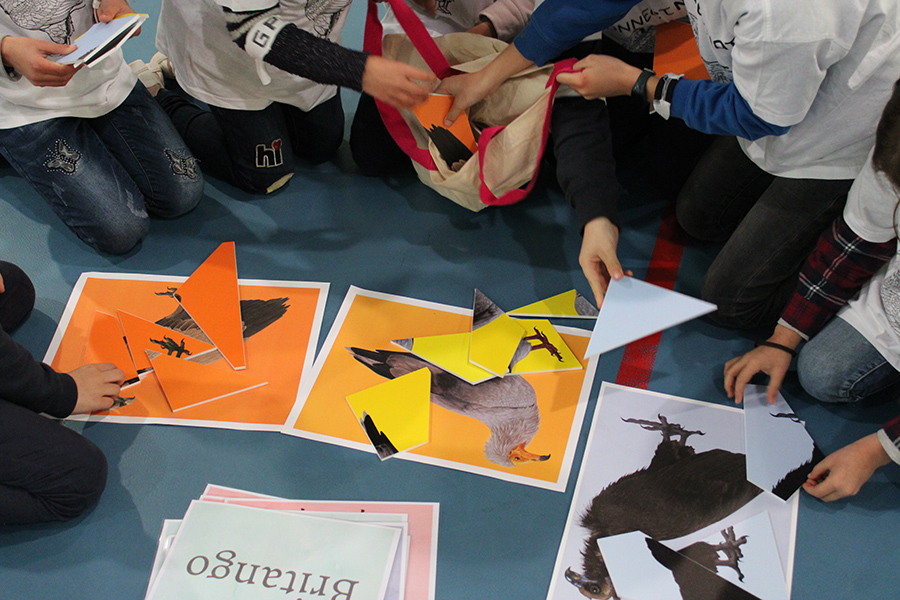 A��es do Programa Escolar do projeto Sentinelas sensibilizam alunos de Miranda do Douro para import�ncia das aves necr�faga