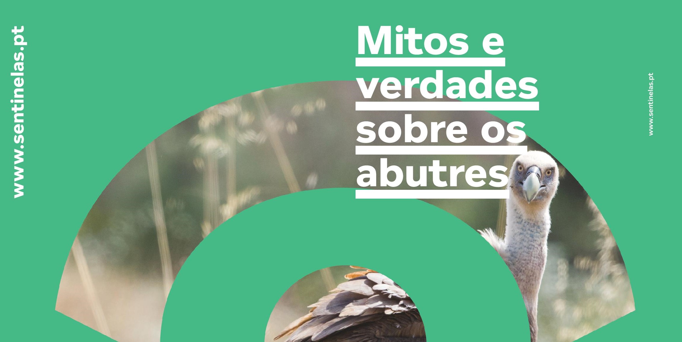 Folheto Mitos & Verdades sobre os Abutres esclarece ideias incorretas sobre estas esp�cies