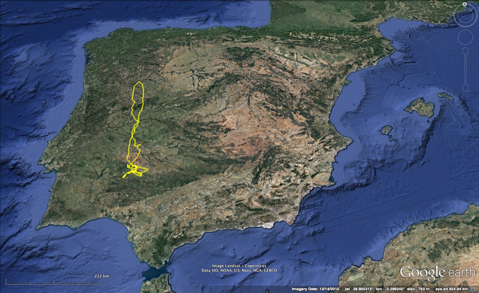 Grifo Balseiro fez mais de 400 km num s� dia, voou a 112 km/h e atingiu uma altitude de 3 093 metros